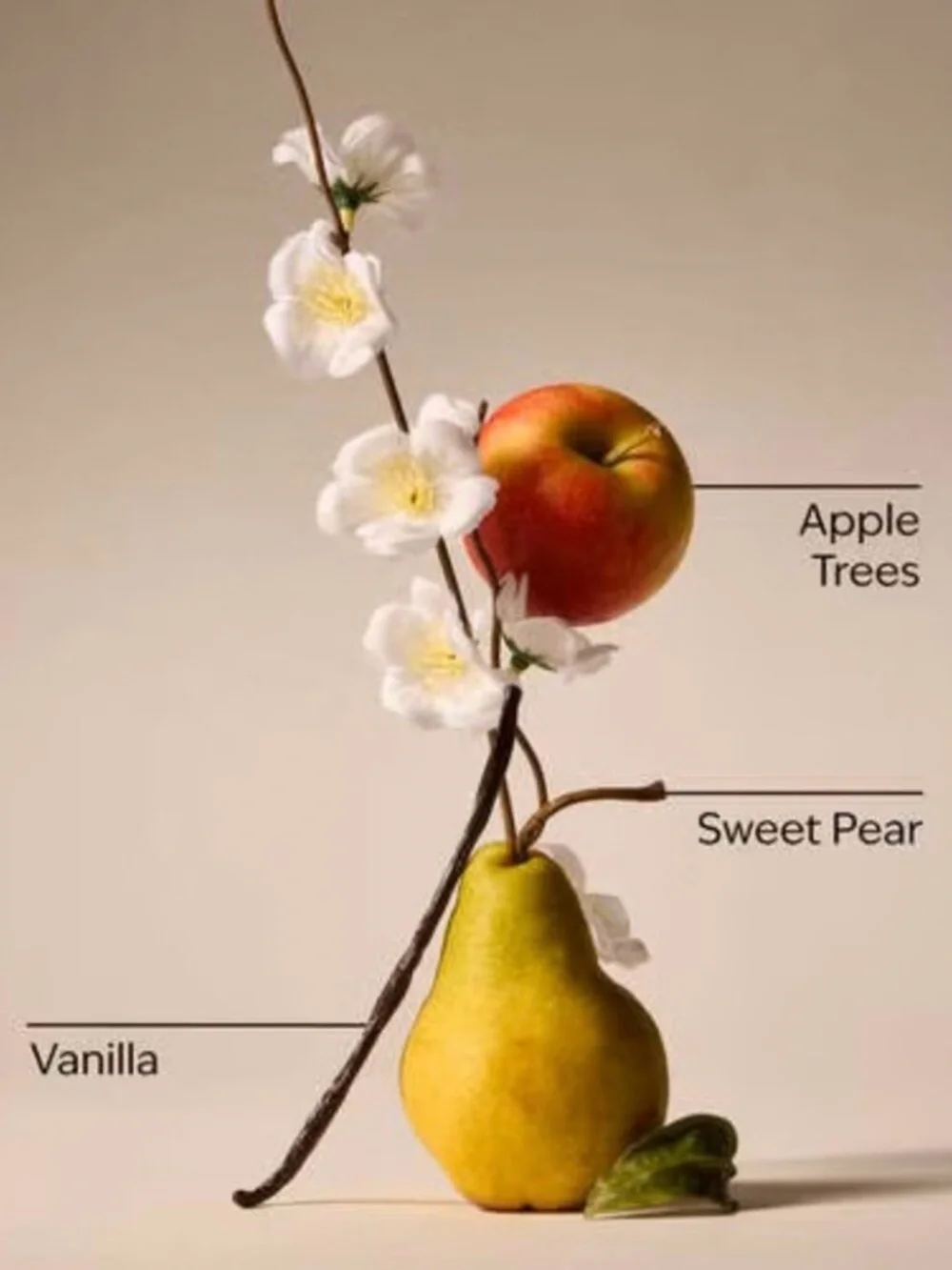 Bath & Body Works Spring Apple Candle 14.5oz Soy Wax Blend - Orchard Scent - Picture 2 of 2